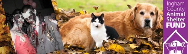 Graff Chevrolet Okemos in Okemos MI